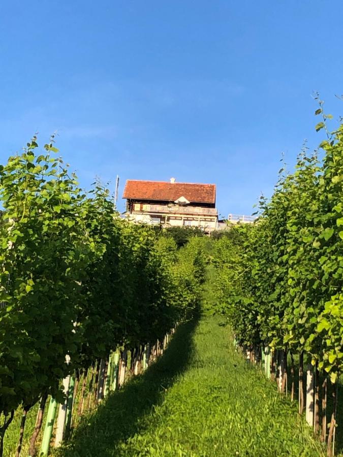 Appartement Georgiberg Ehrenhausen Ngoại thất bức ảnh